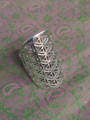 Indian silver lattice style ring